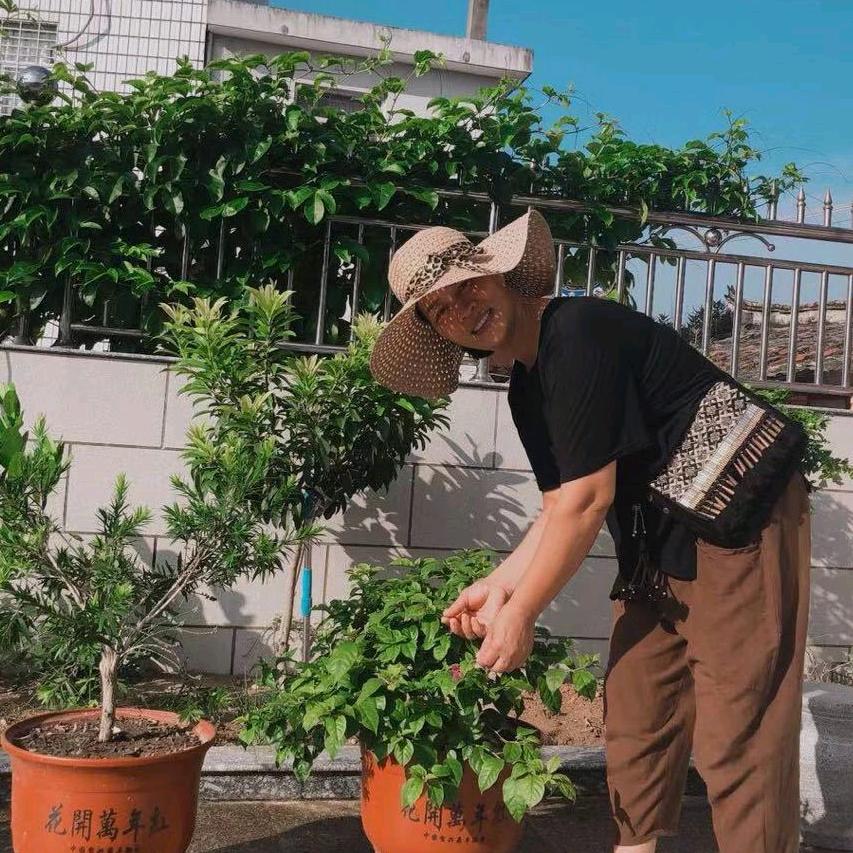 大哈妹