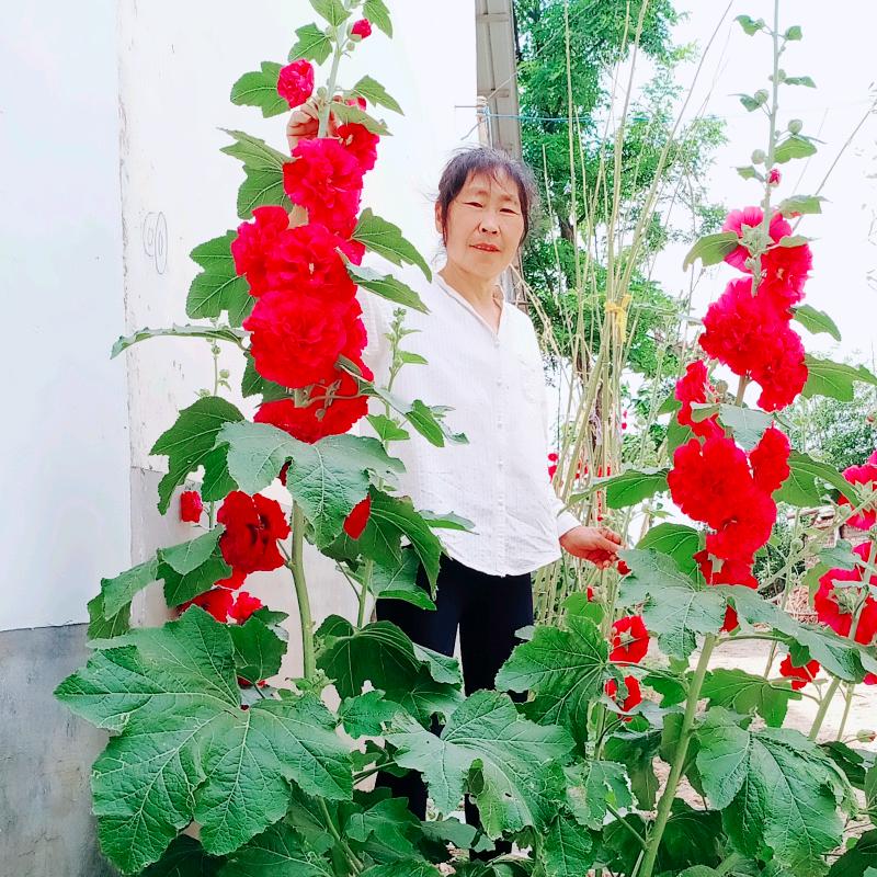 热爱生活的李姐🎀