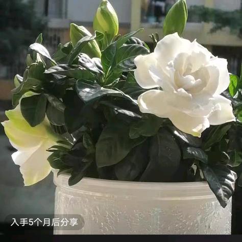同心同行
