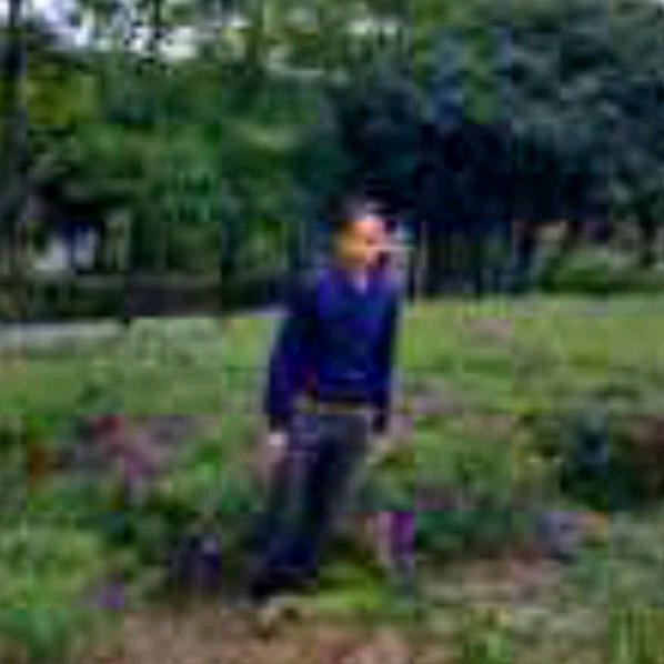 灰在于黑白之间