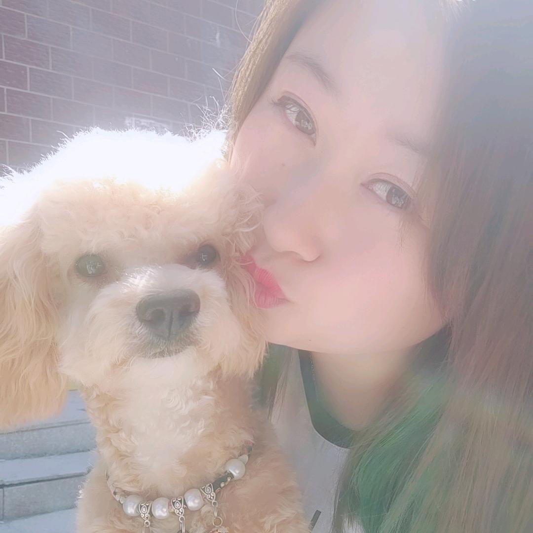 小燕子