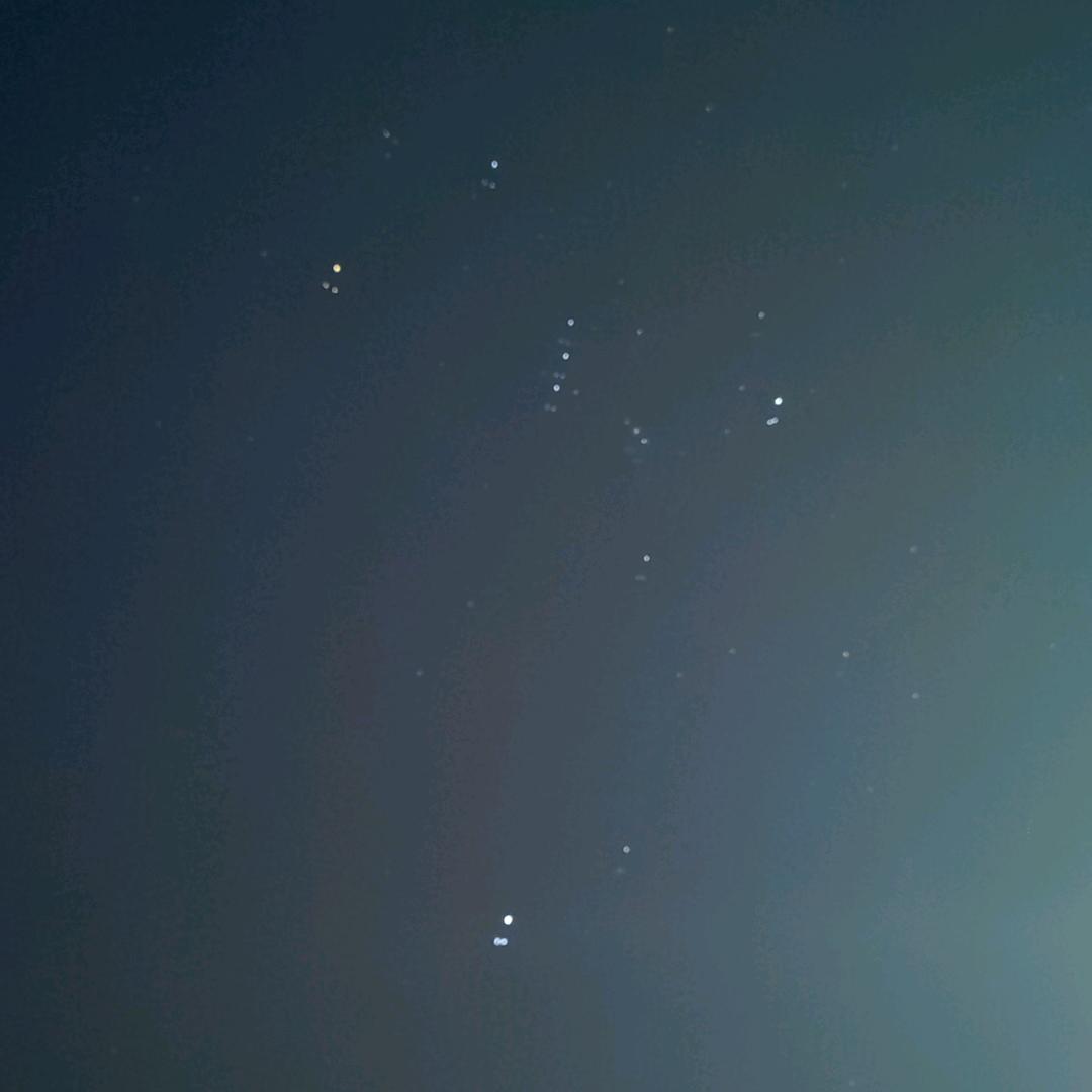 闲淤