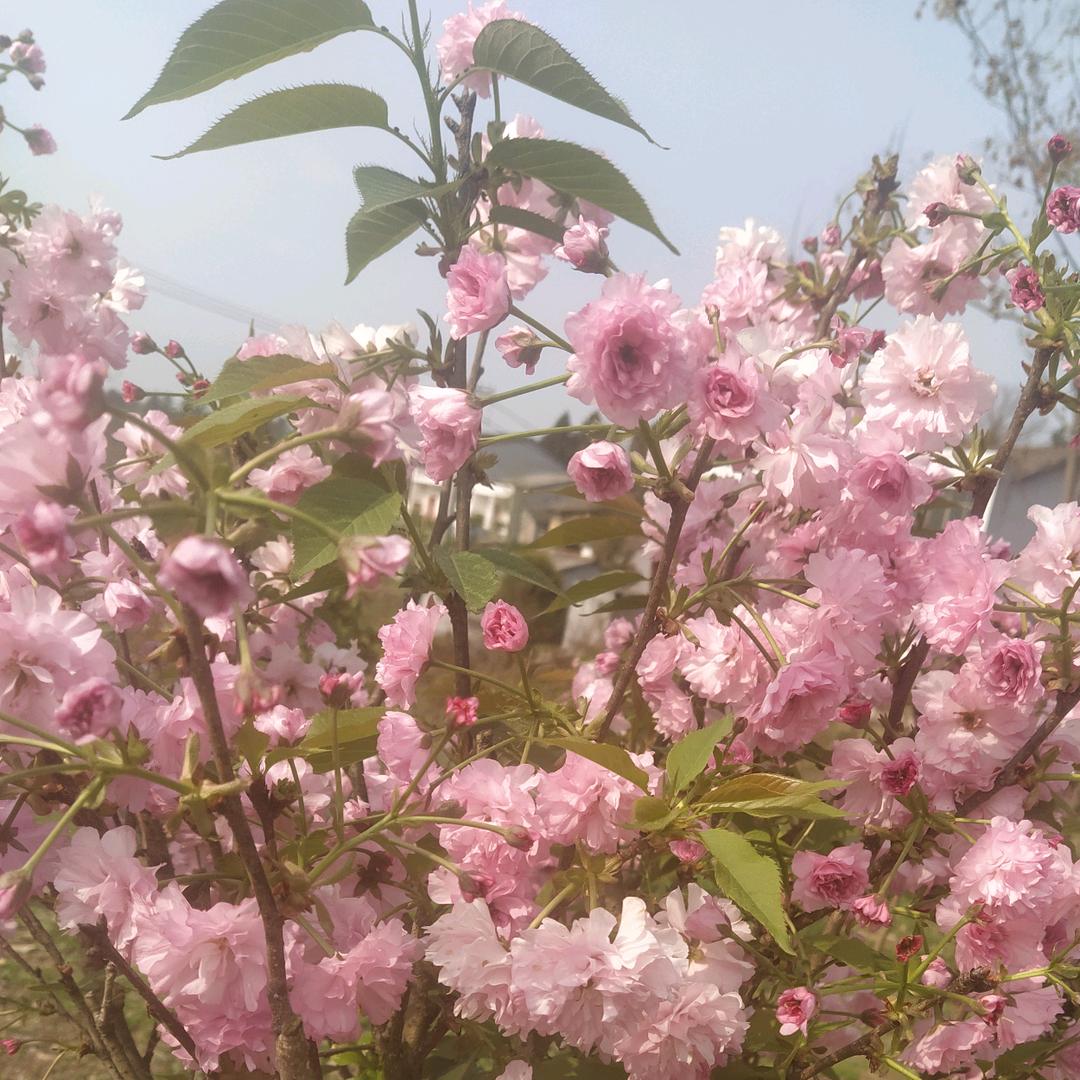 匆匆岁月