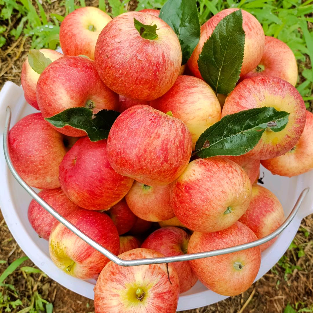 快乐就好户8101812269829