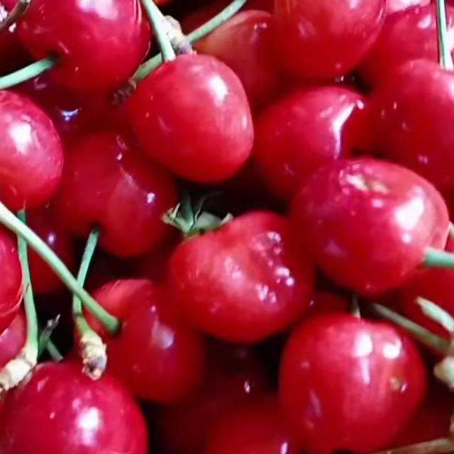 爱吃醋的宝贝蛋。