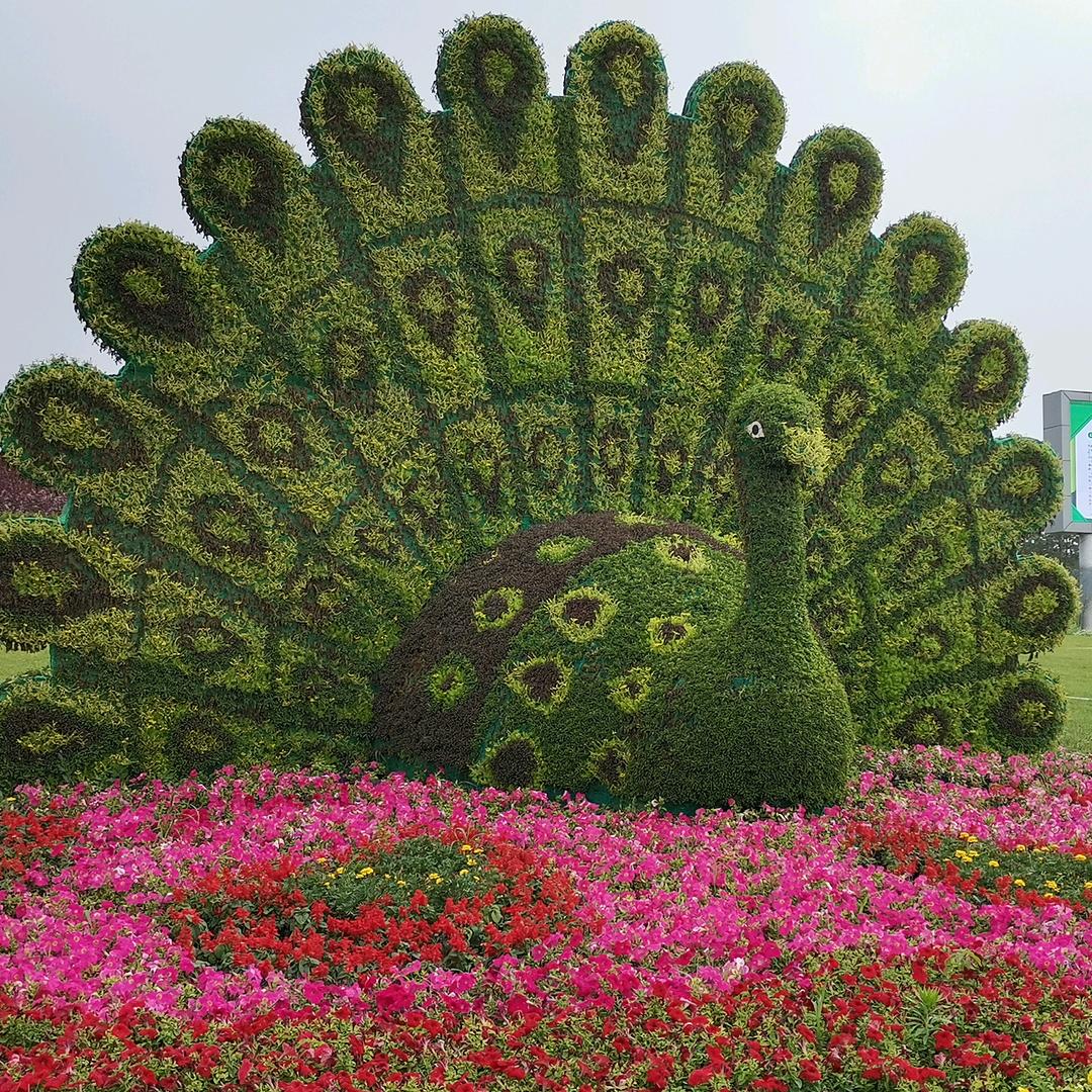 芳芳