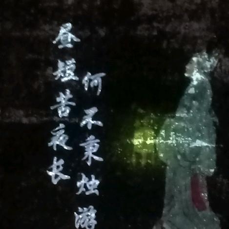 小傻瓜🌷🌷