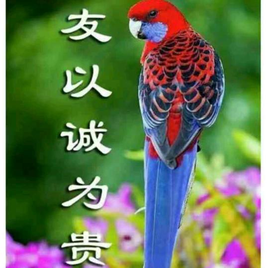 真成