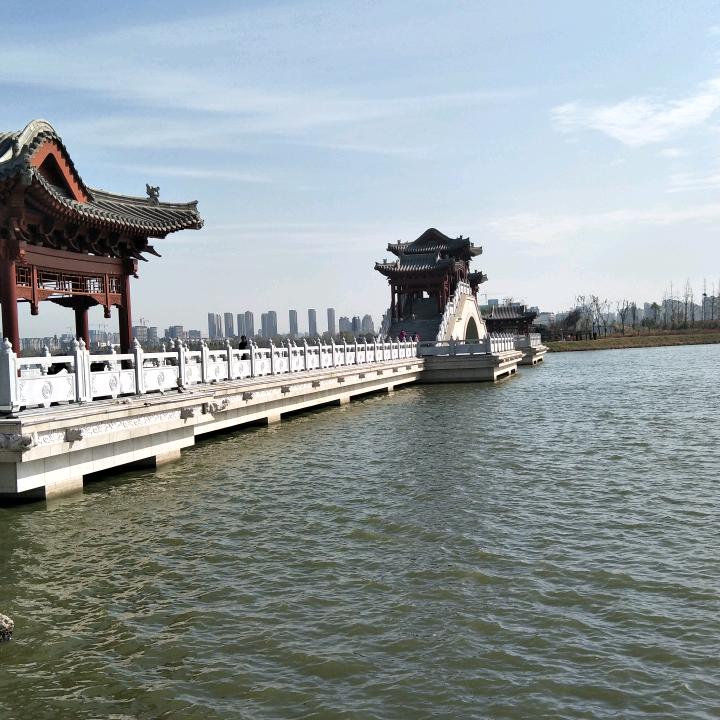 涛哥