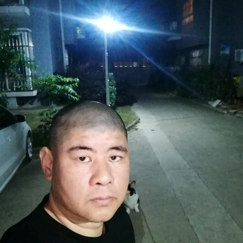 山顶听风
