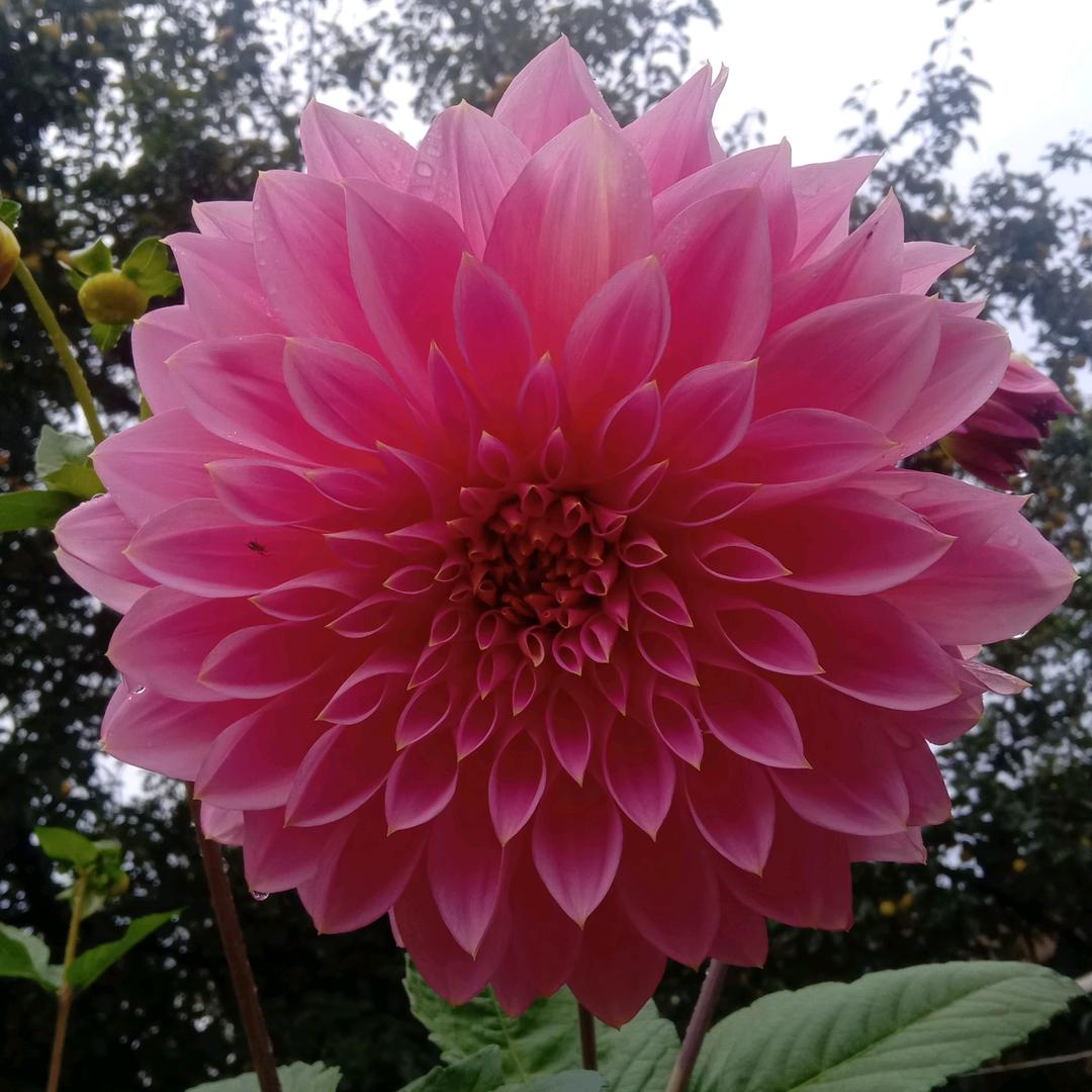 一生一世爱着你