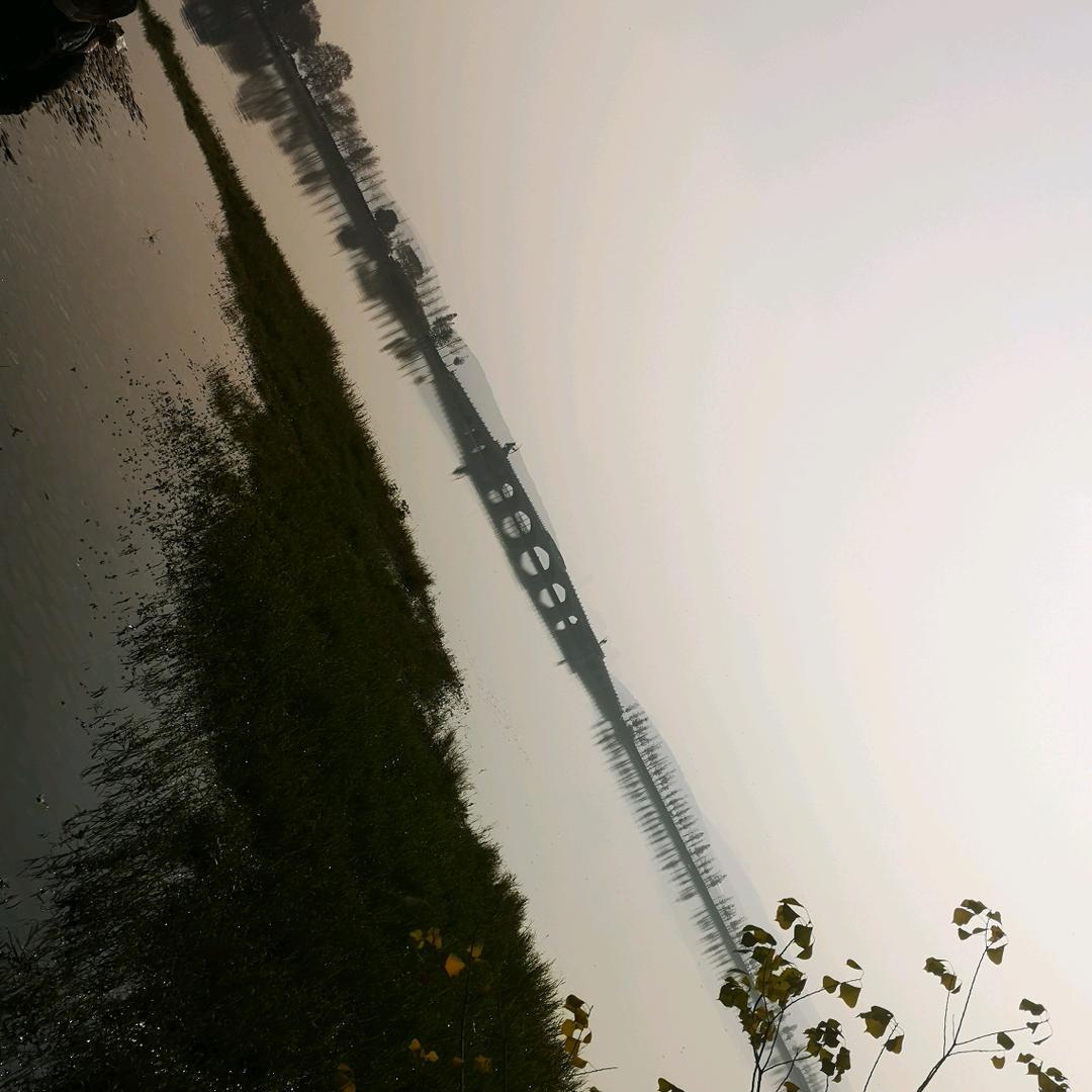 义