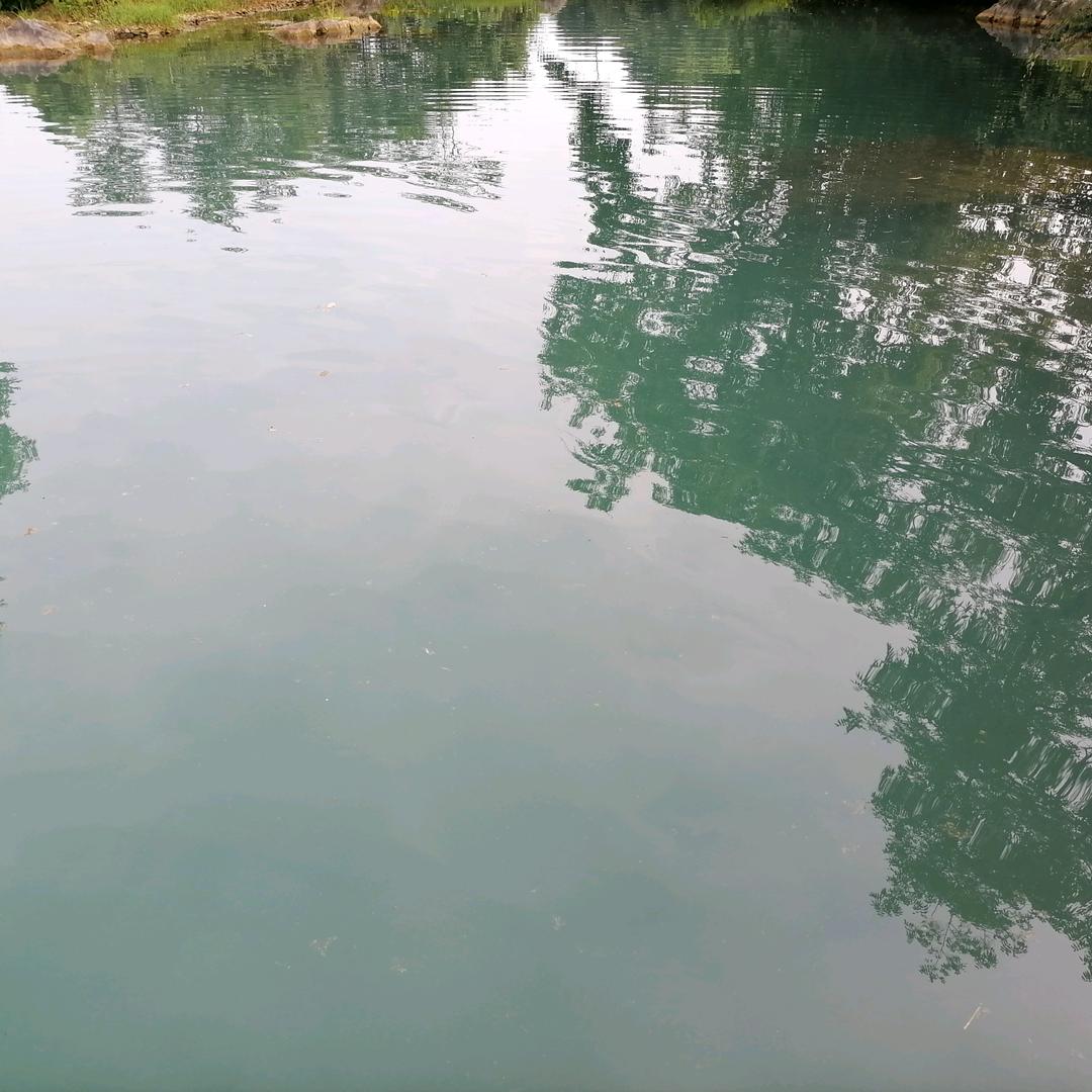 龙半仙