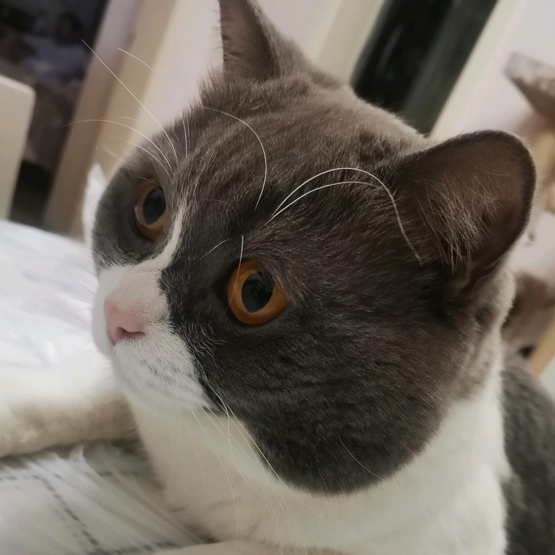 三三