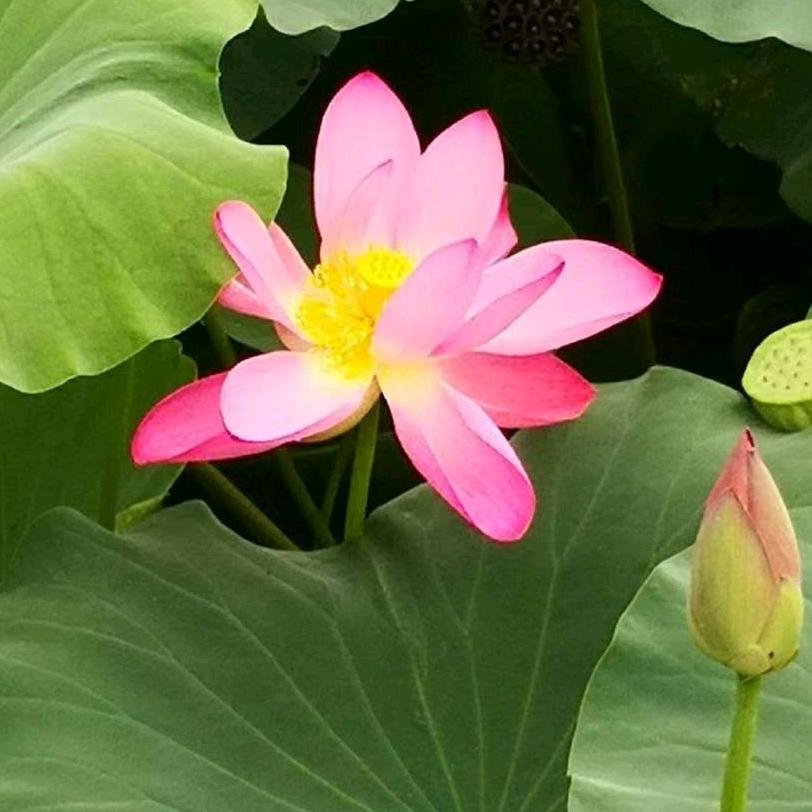 金桂荣123