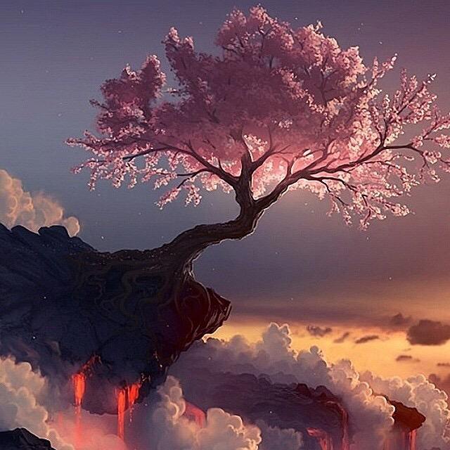 赵～