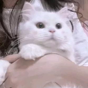 张美英