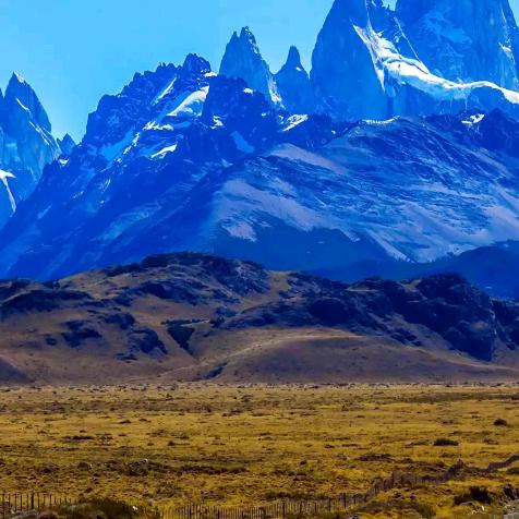 年年有余，🐠💰🦈💰🐬💰