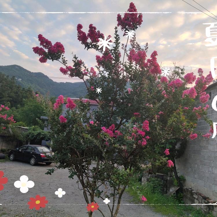 理想就是离乡