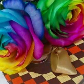 开心一刻，天天快乐！❤️❤️🌹🌹