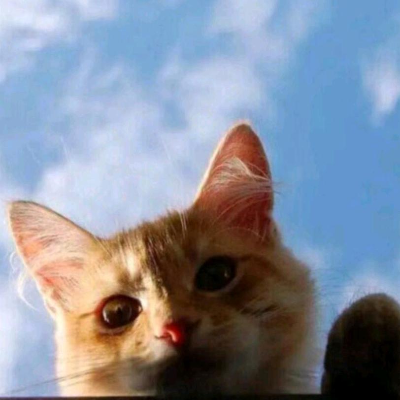 日日等出梁女士。