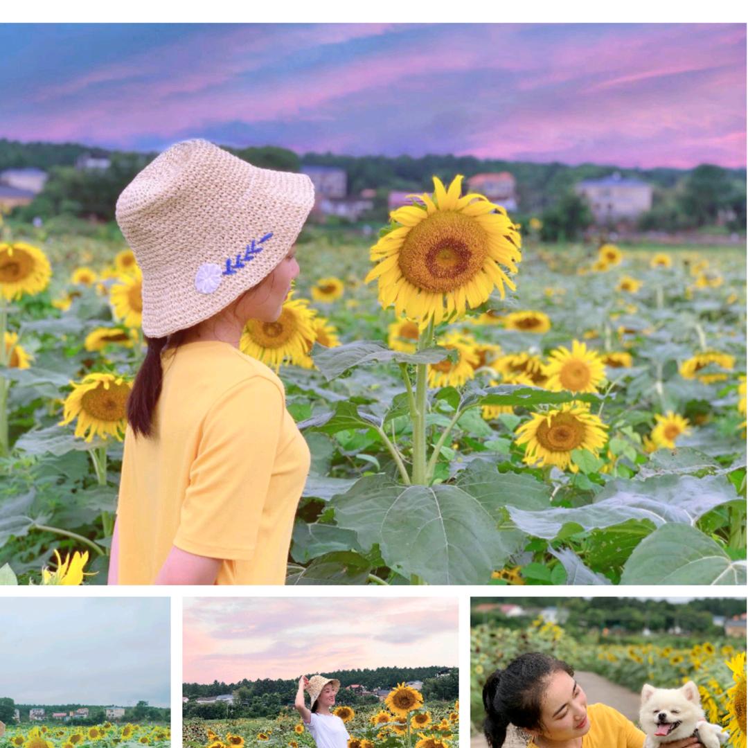 𖤃·ˑ蕉绿再见