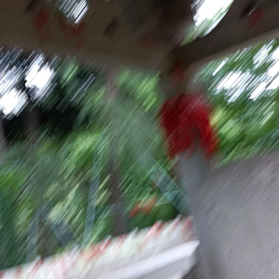 用户2261906560229