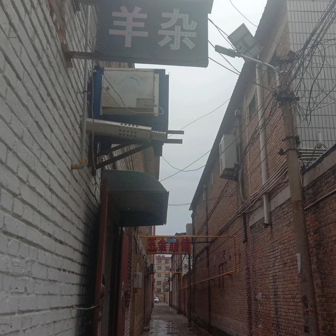 胡同羊杂周（互动礼尚往来忙不评🙏）