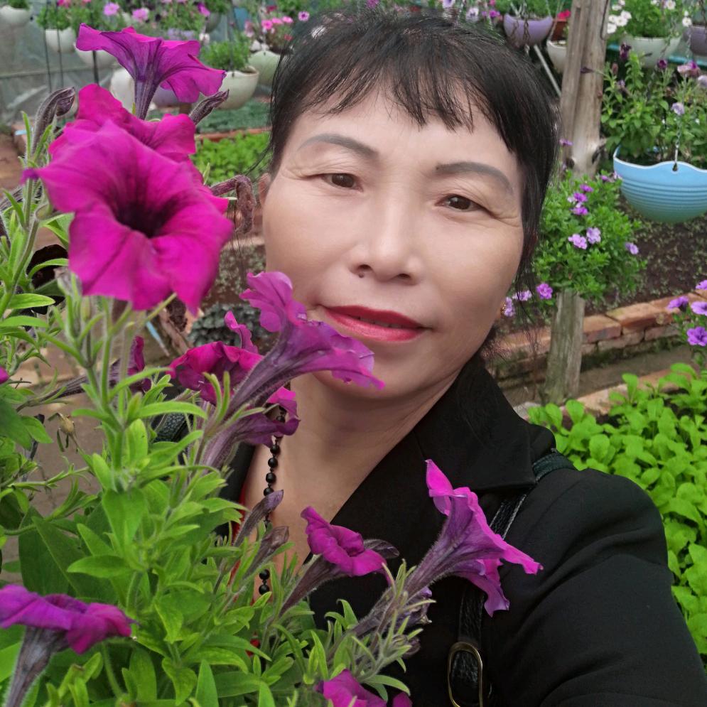 杨文仙