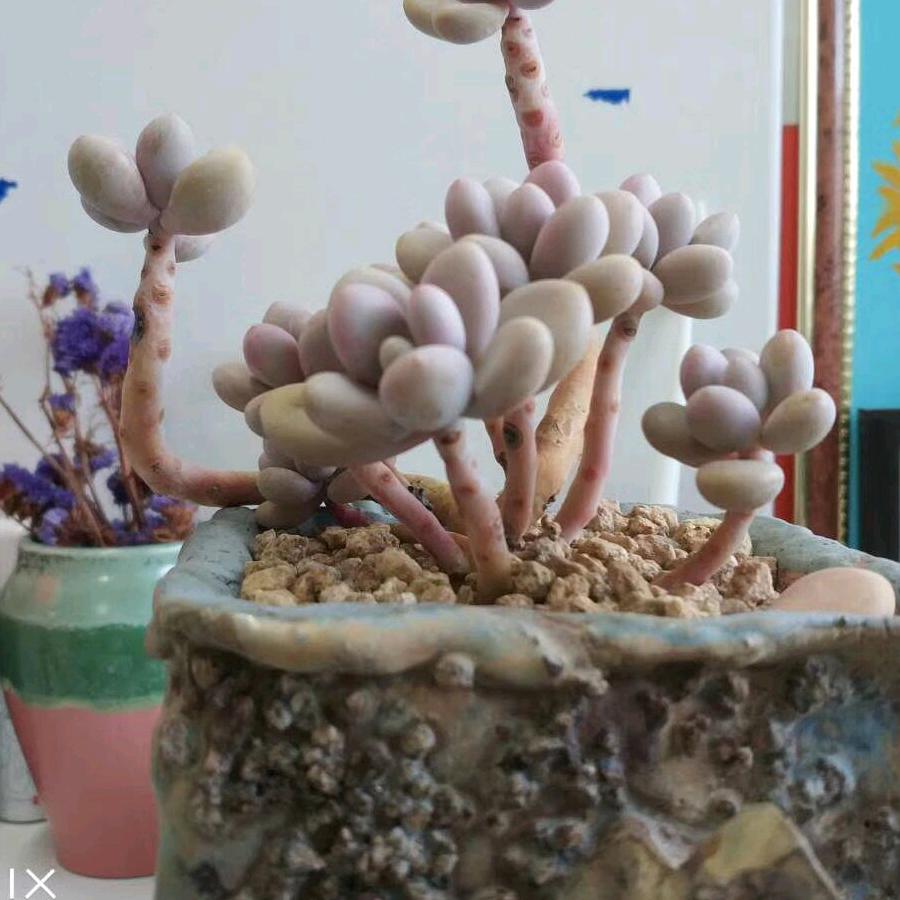 自由的飞翔(˵¯͒〰¯͒˵)