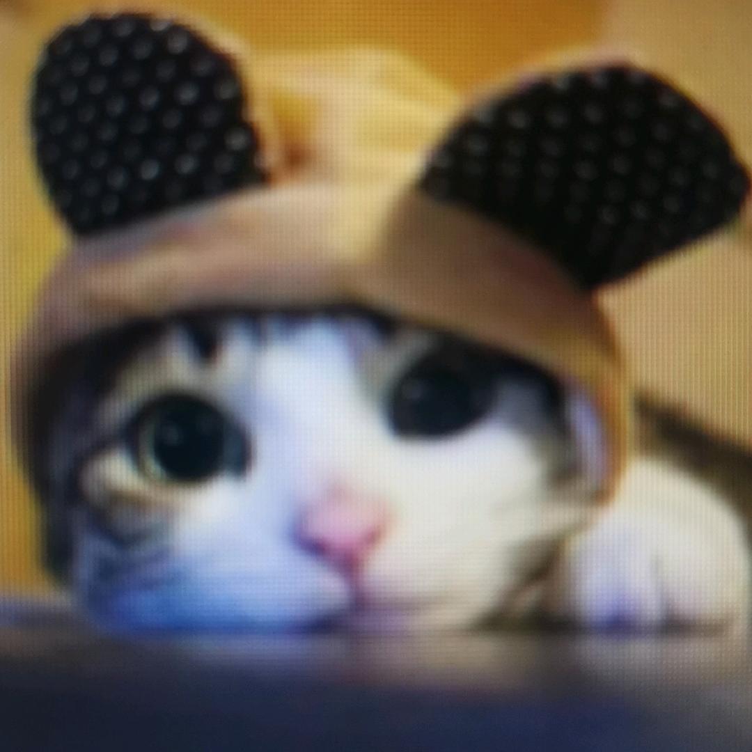 百搭乐园生活馆