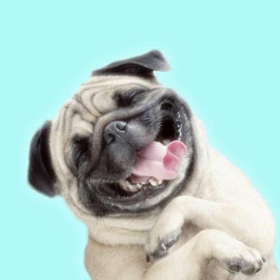 头号可爱