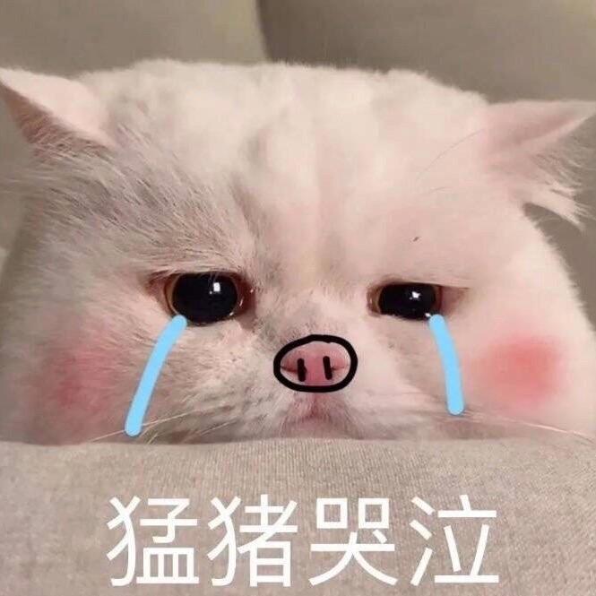 折花入酒