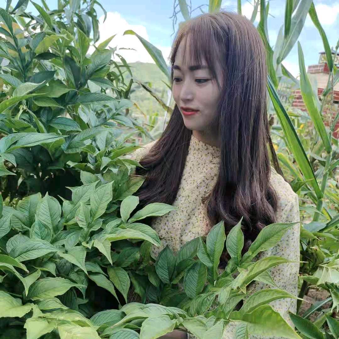魔芋☞萍子☜