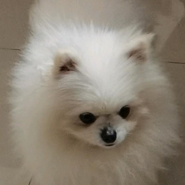 重庆市开州区芳芳特产