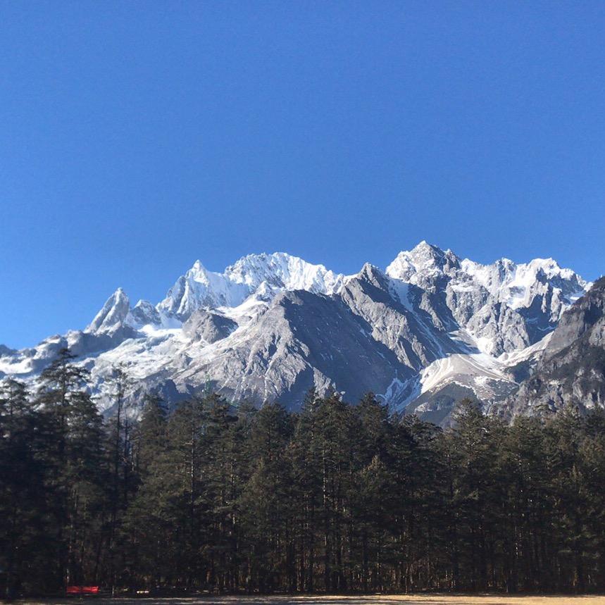 阳阳阳阳阳阳阳