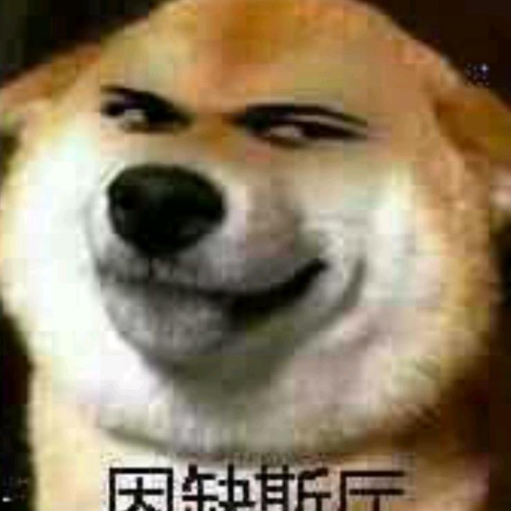 你们的爹（专业收ikun和坤坤）