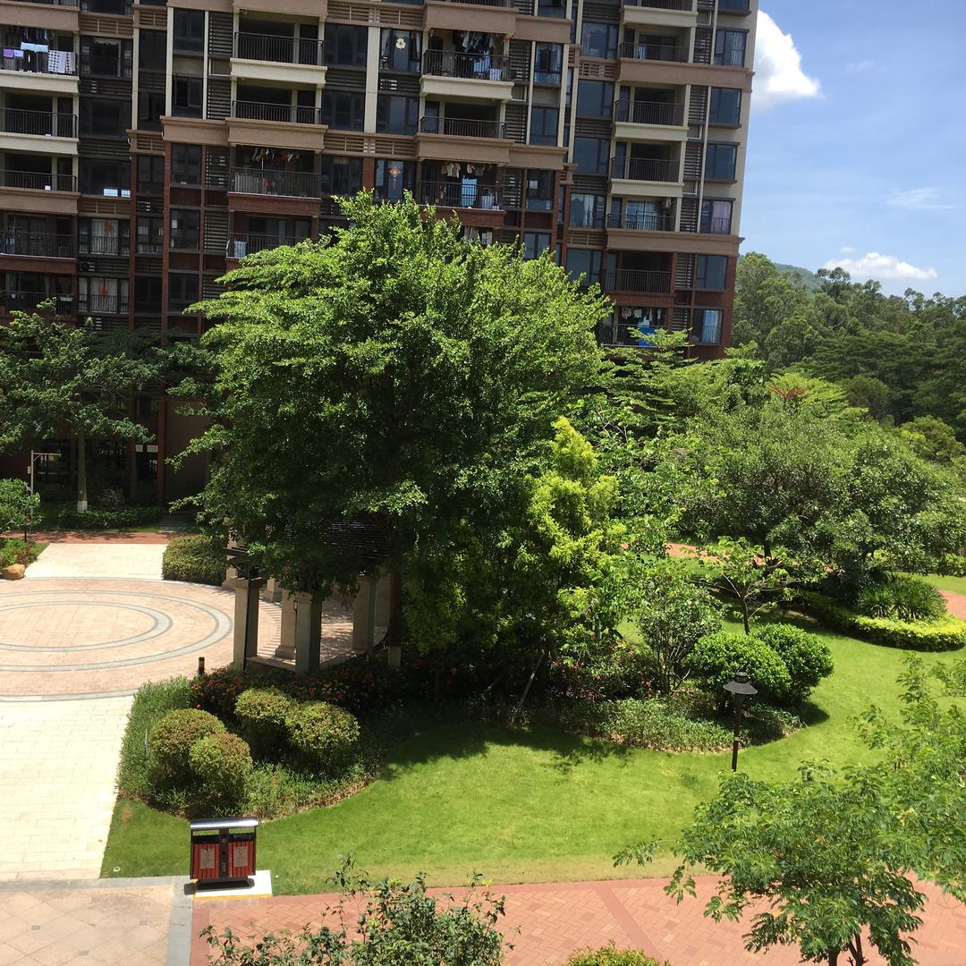 秀丽风光