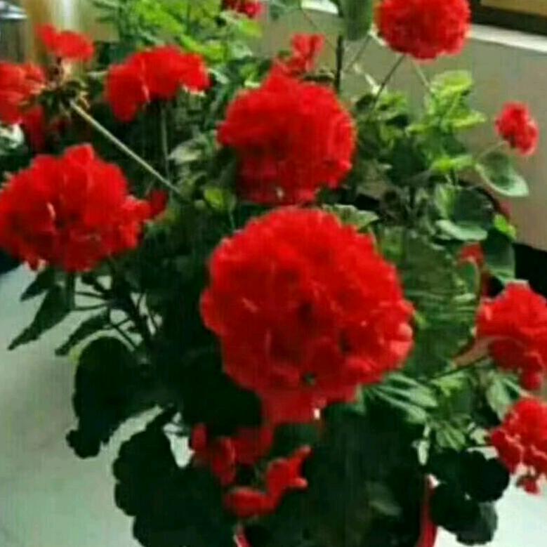 快乐人生##Y7yEIstq1##