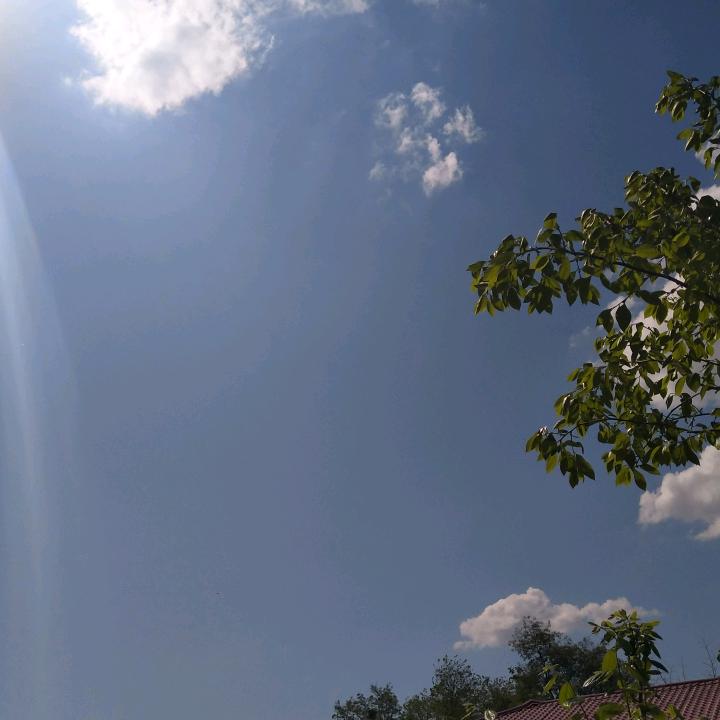 依旧