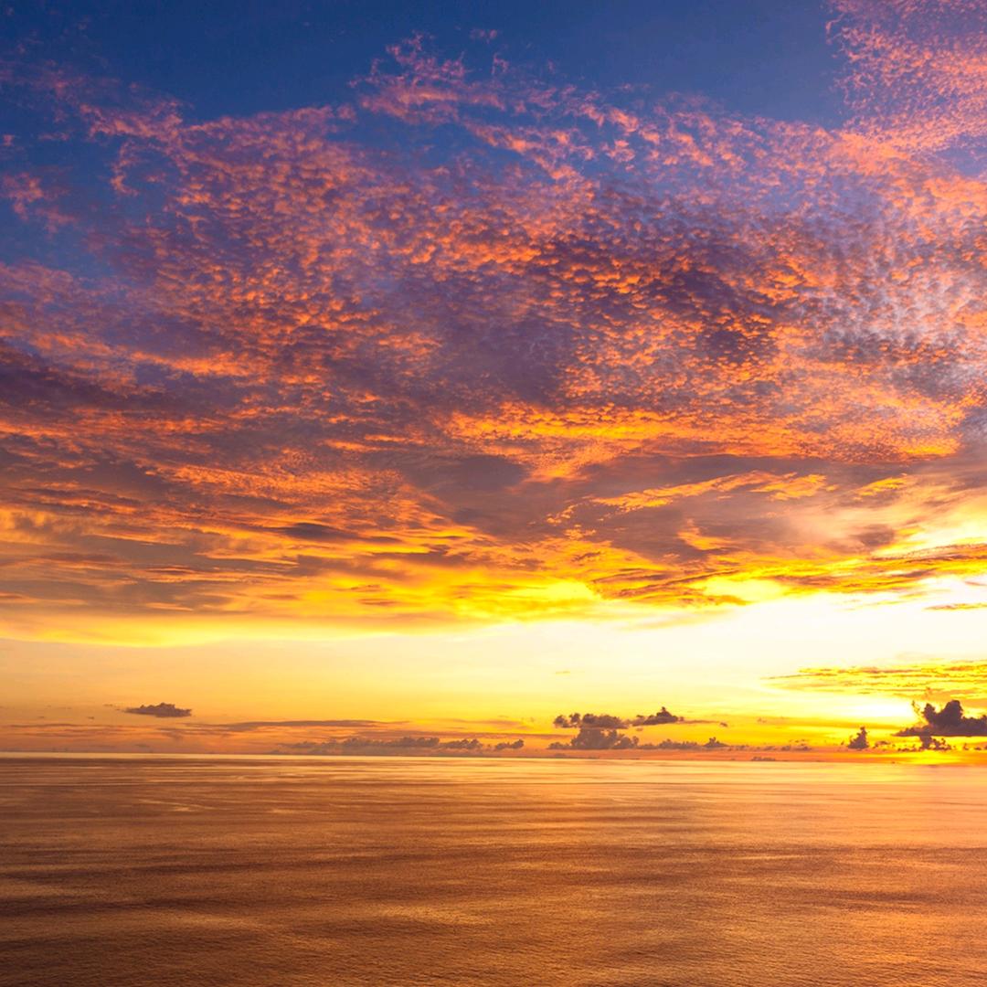 小猪猪（朱朱）爱姐姐