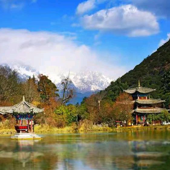 唐河发哥