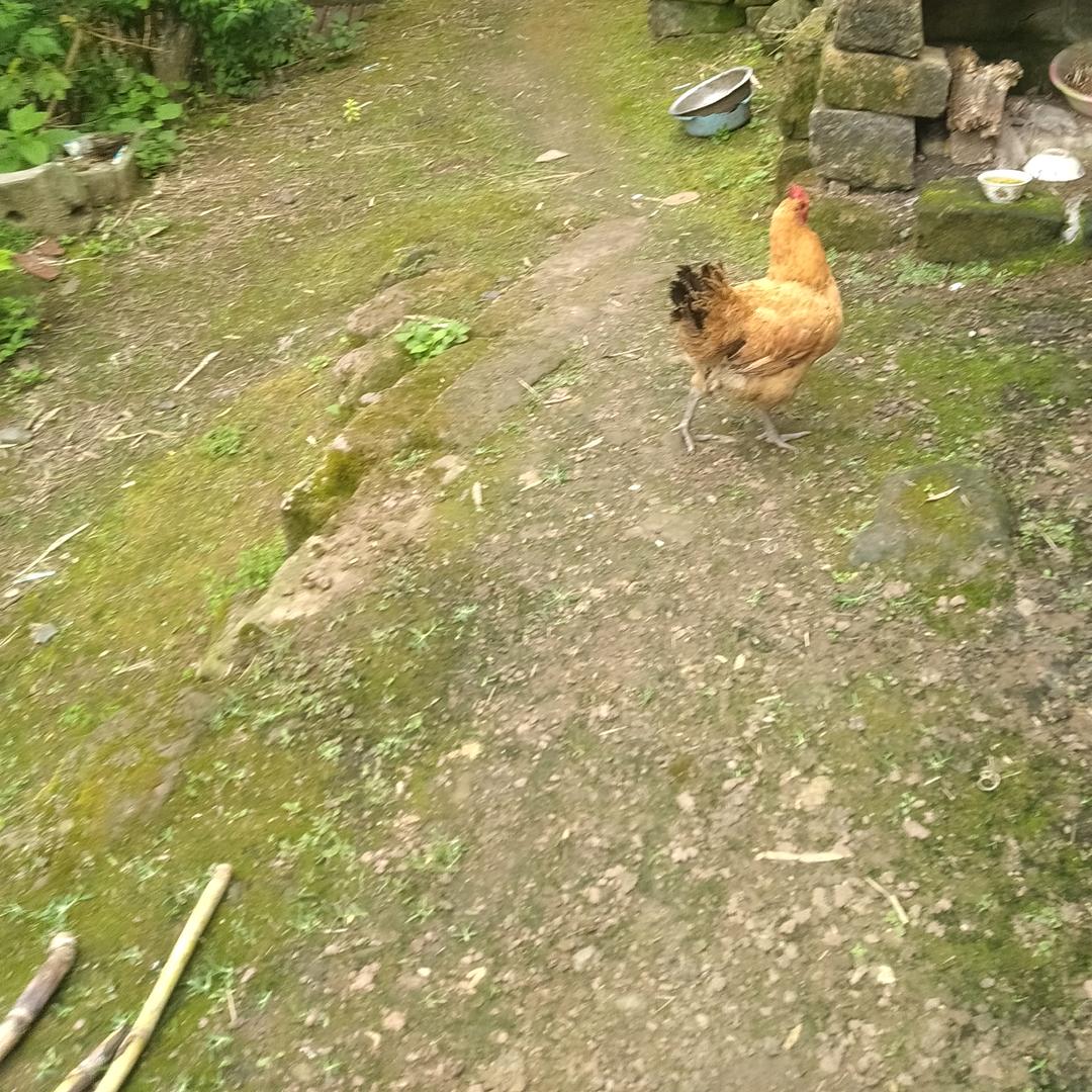 曾修田