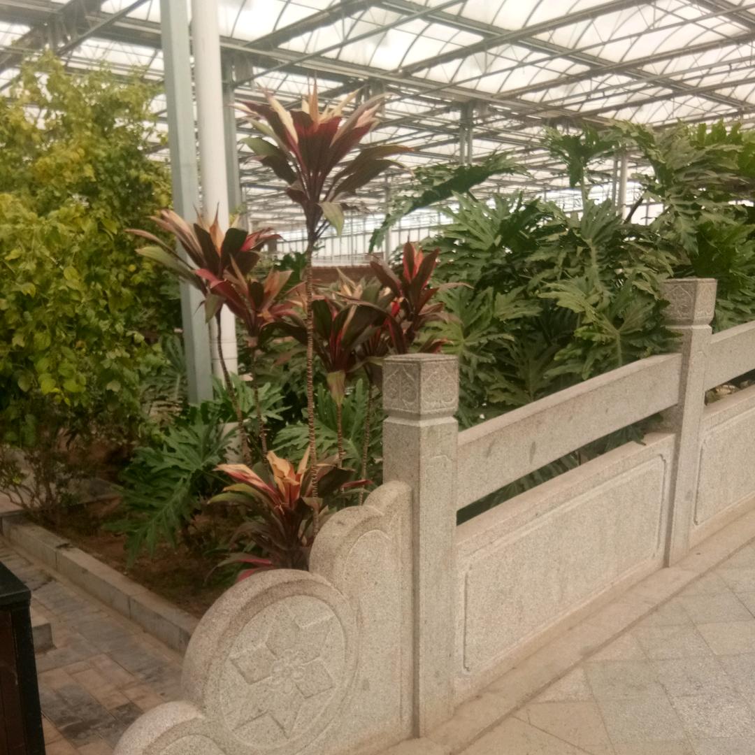 平安健康的70后