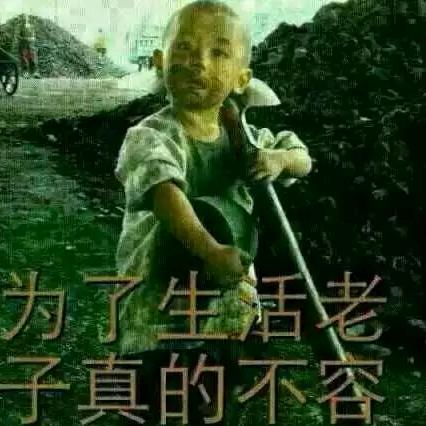 鄂尔多斯煤炭直销🔥张亚利