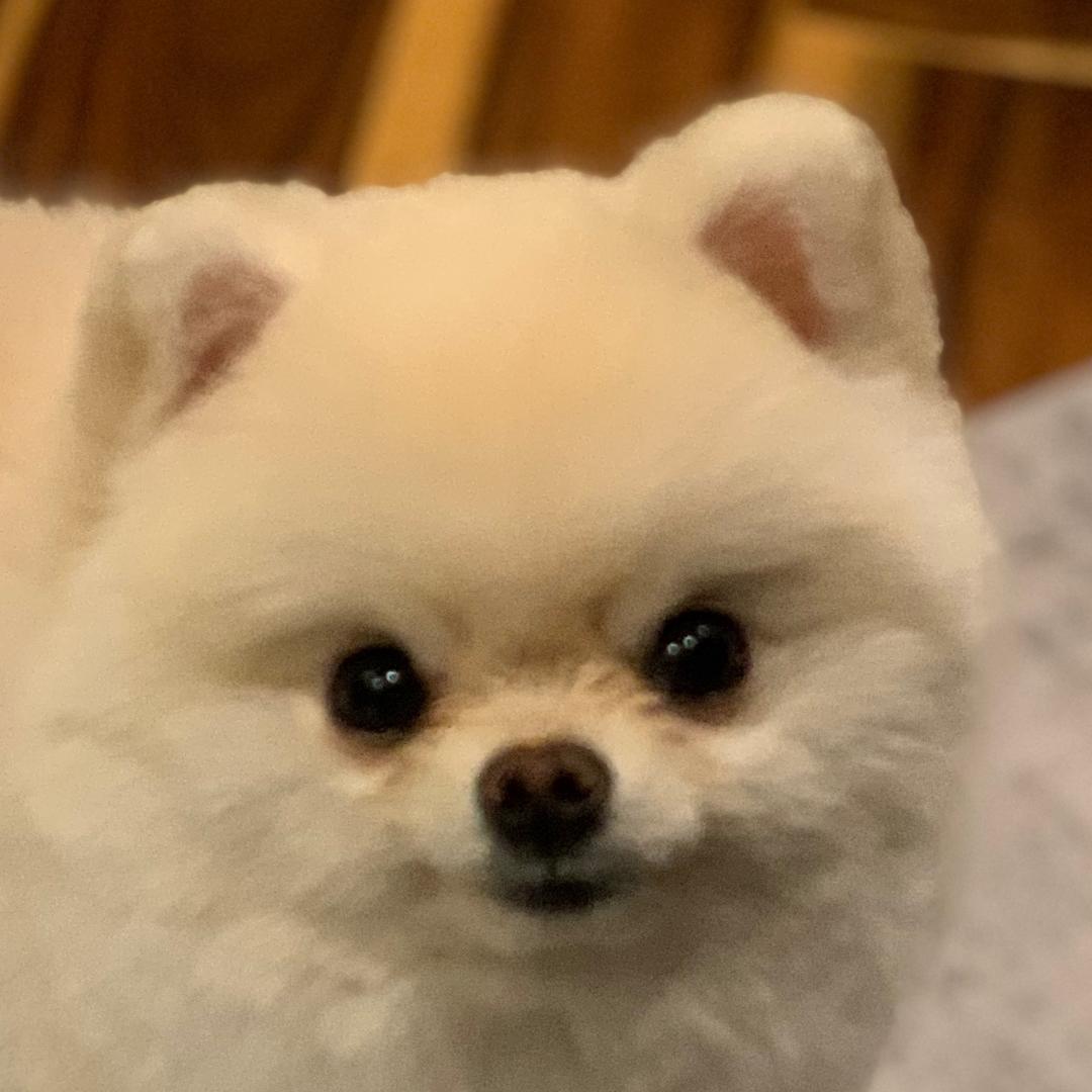 弗朗西斯卡与爱彼