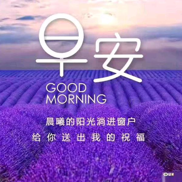 小福（必回关）