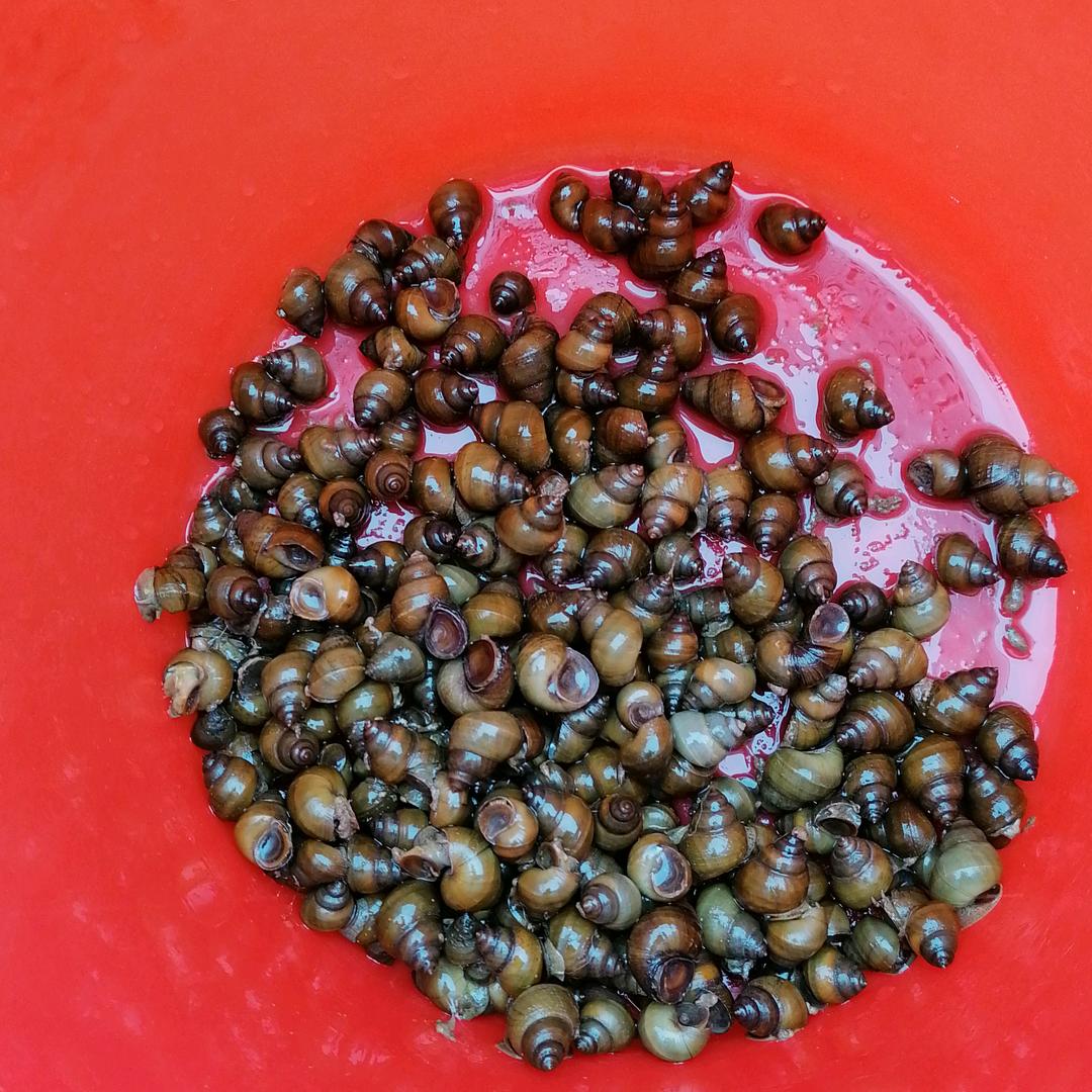 我只是孩子妈妈