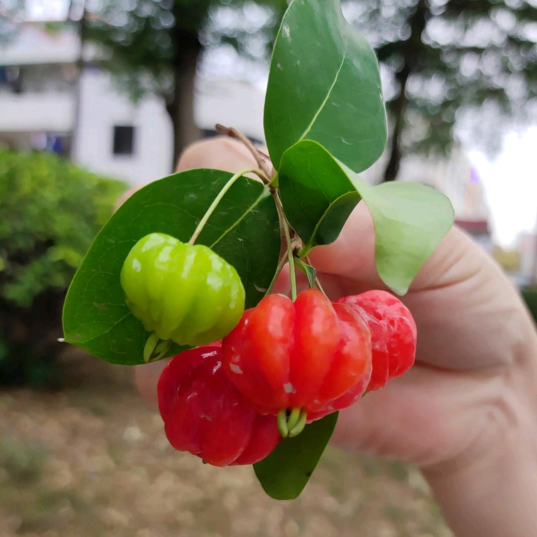 《一笑而过》🌷
