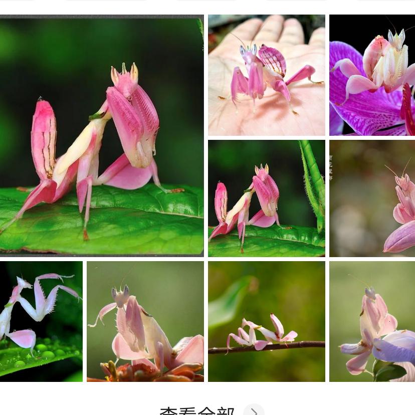 是否还有明天